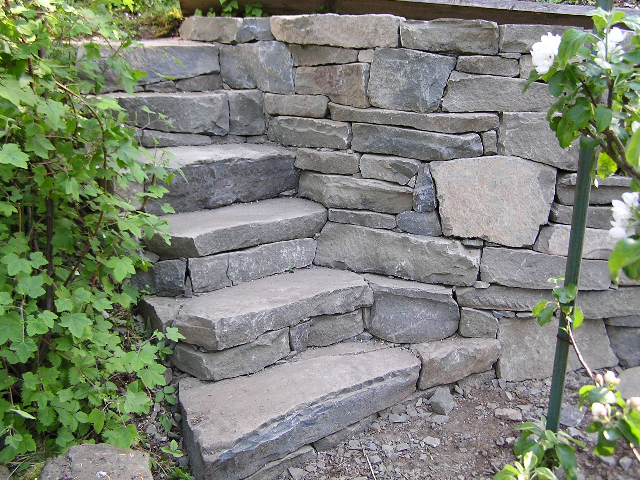 Backyard Stepping Stone Ideas