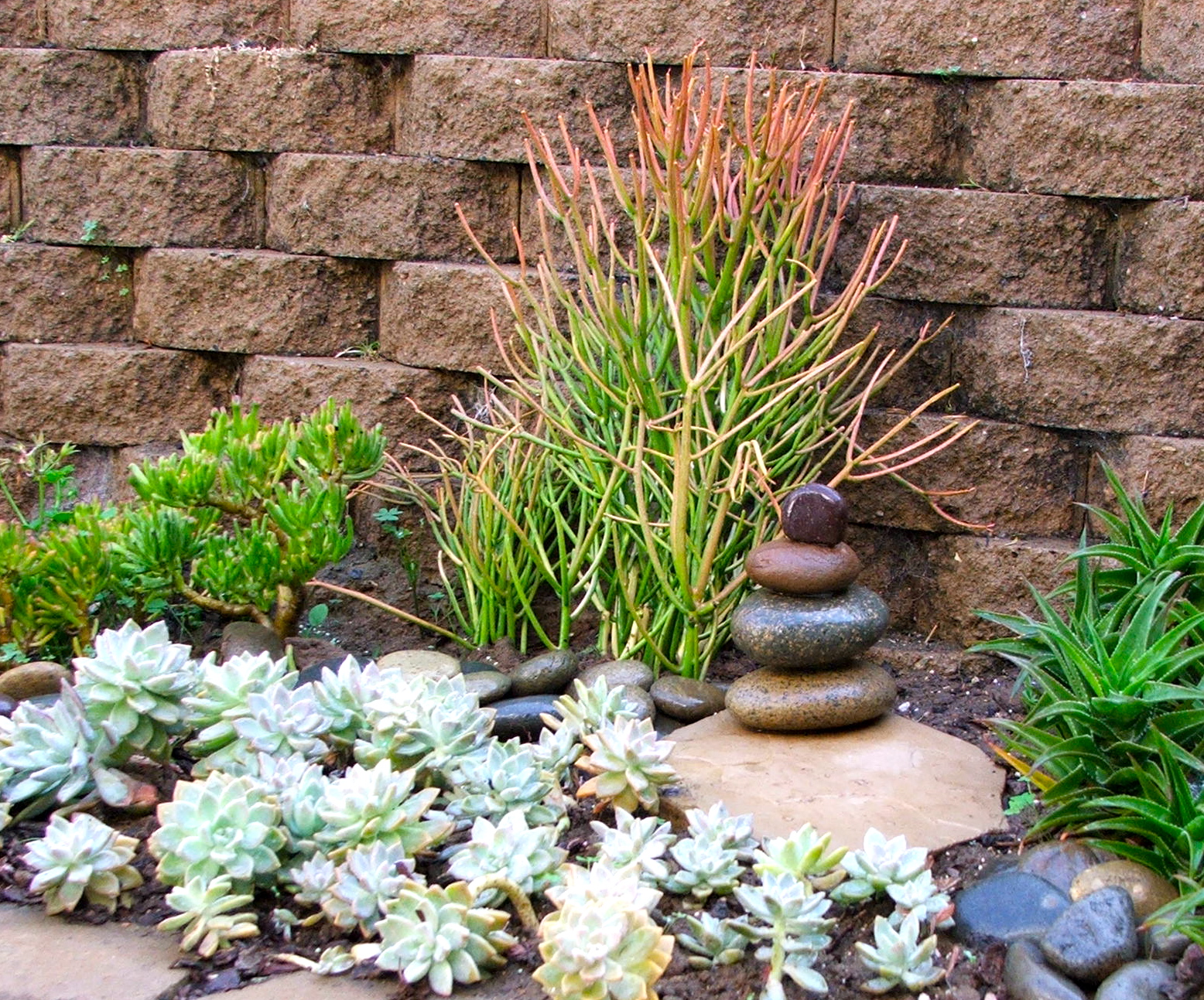 Landscape Design Ideas