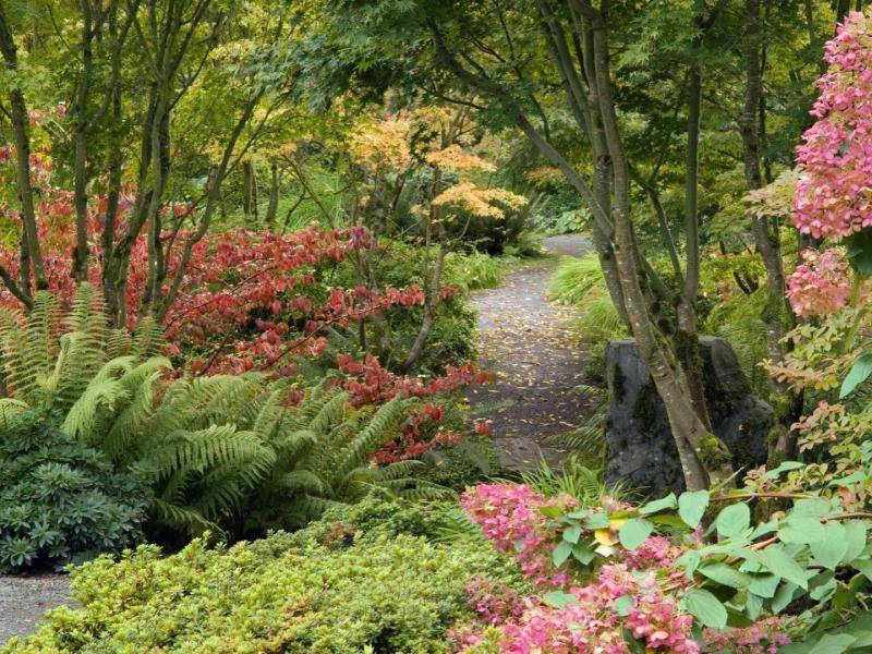 Bellevue Botanical Garden