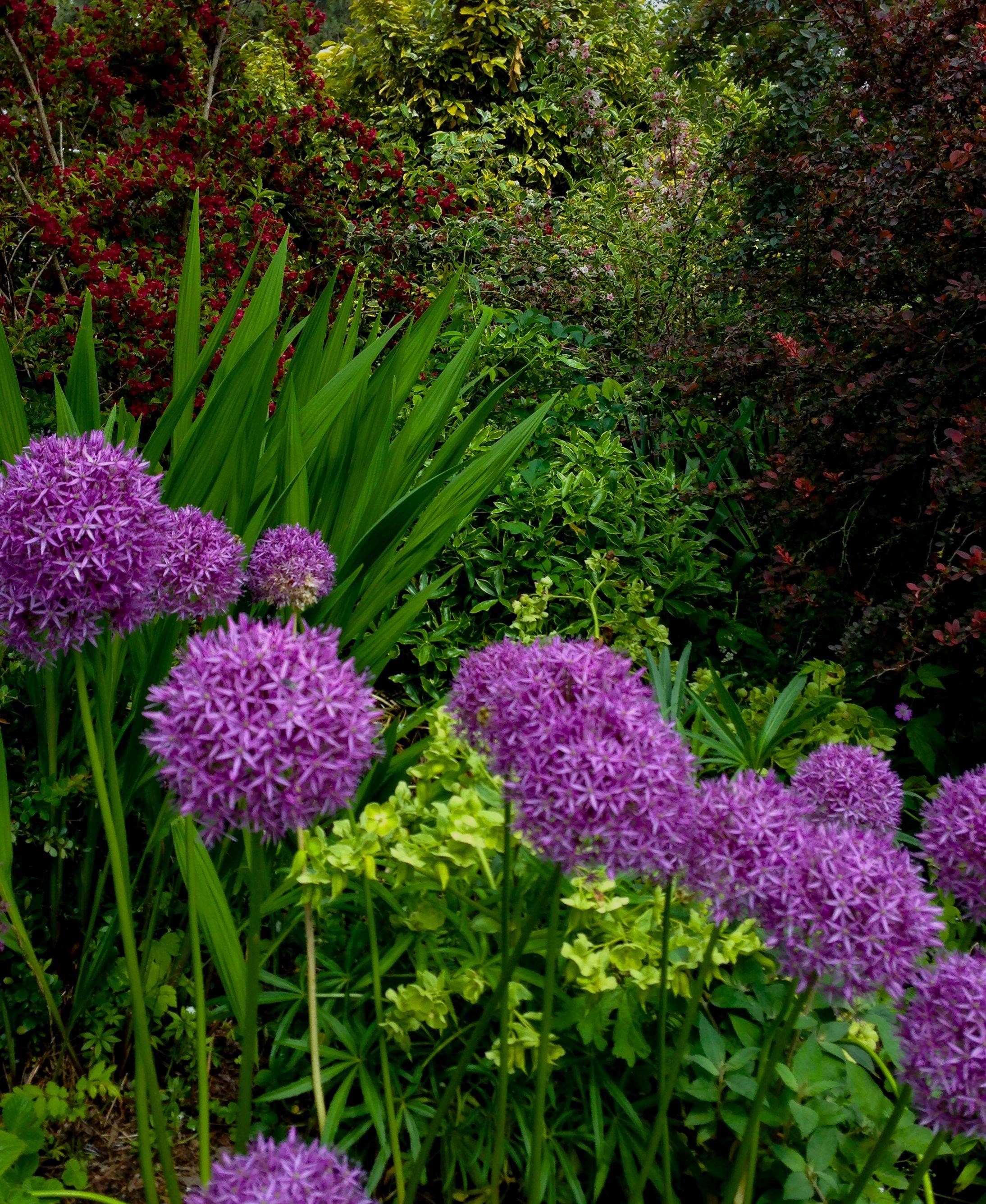 Bellevue Botanical Garden Botanical Gardens