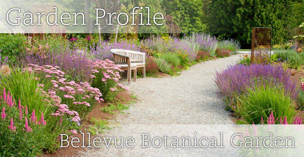 Bellevue Botanical Garden