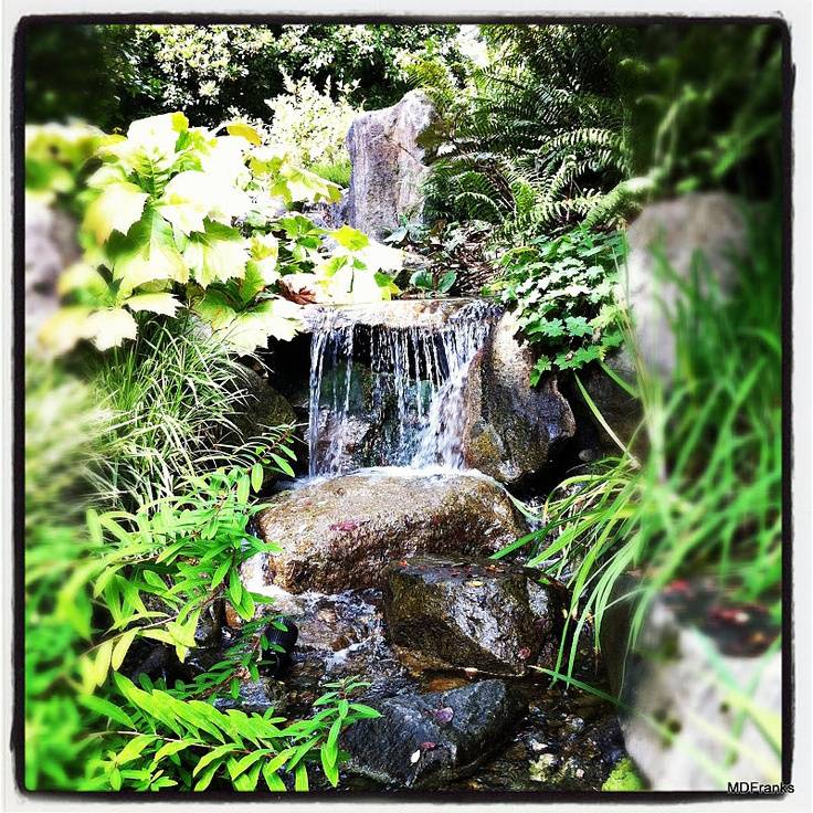 The Bellevue Botanical Garden Seattle Area Family