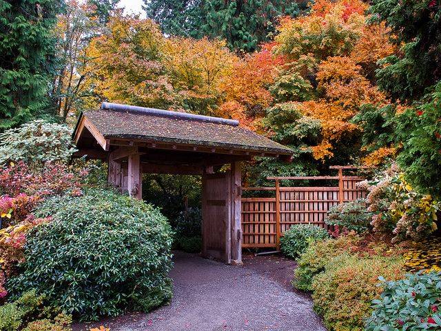 Bellevue Botanical Garden