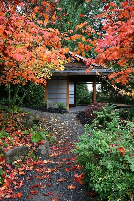 Olson Kundig Botanical Gardens