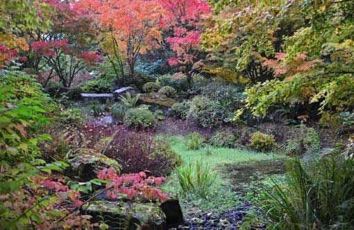 The Bellevue Botanical Garden