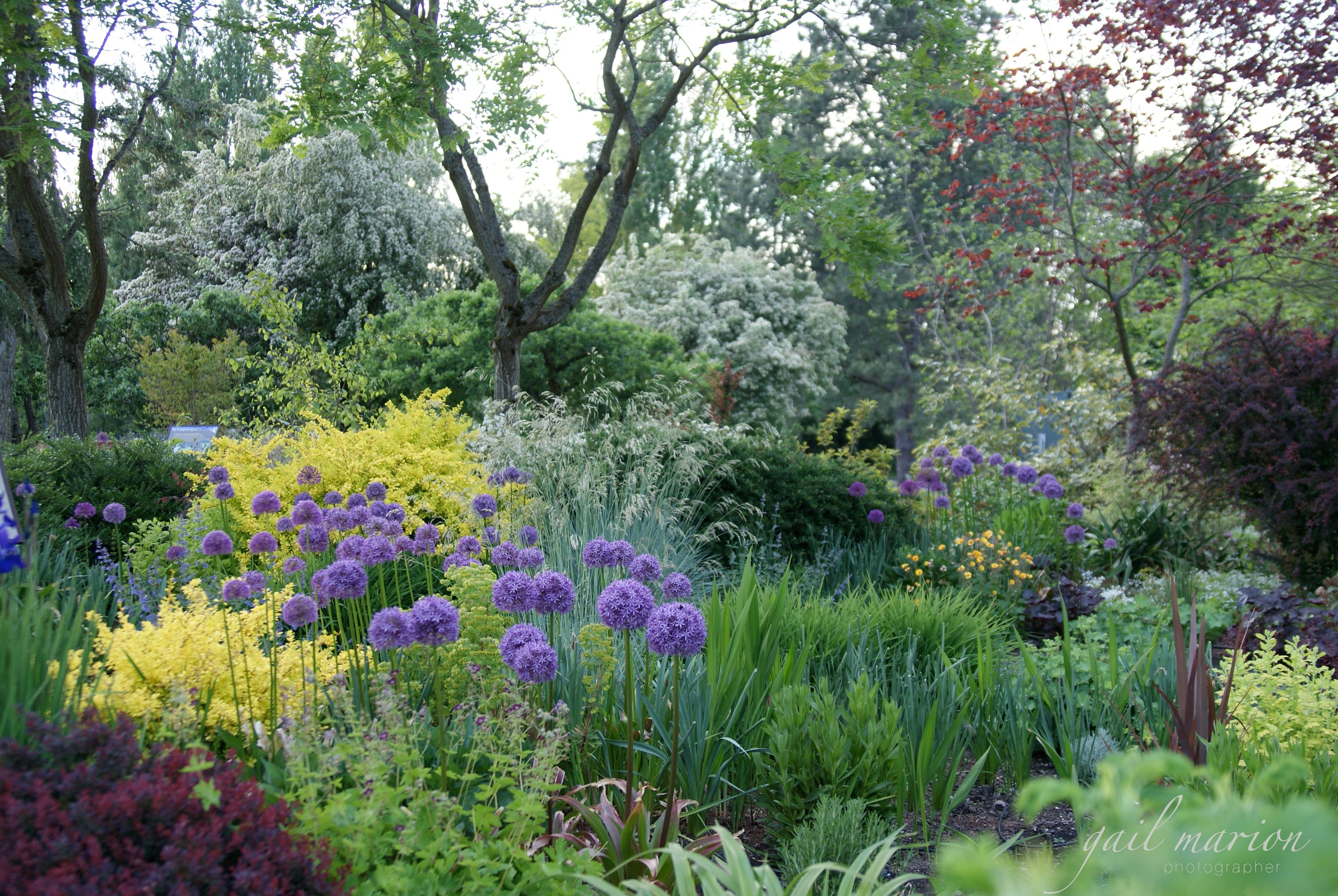 Bellevue Botanical Garden