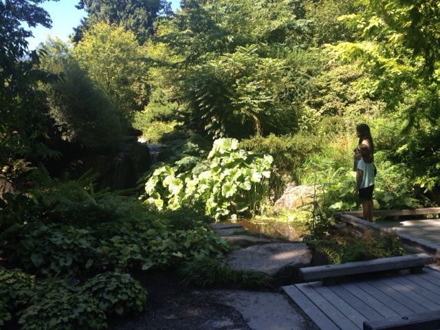 Bellevue Botanical Garden