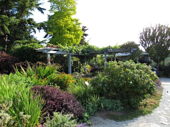 Bellevue Botanical Garden Botanical Gardens