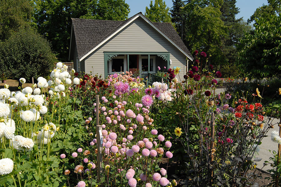 The Bellevue Botanical Garden