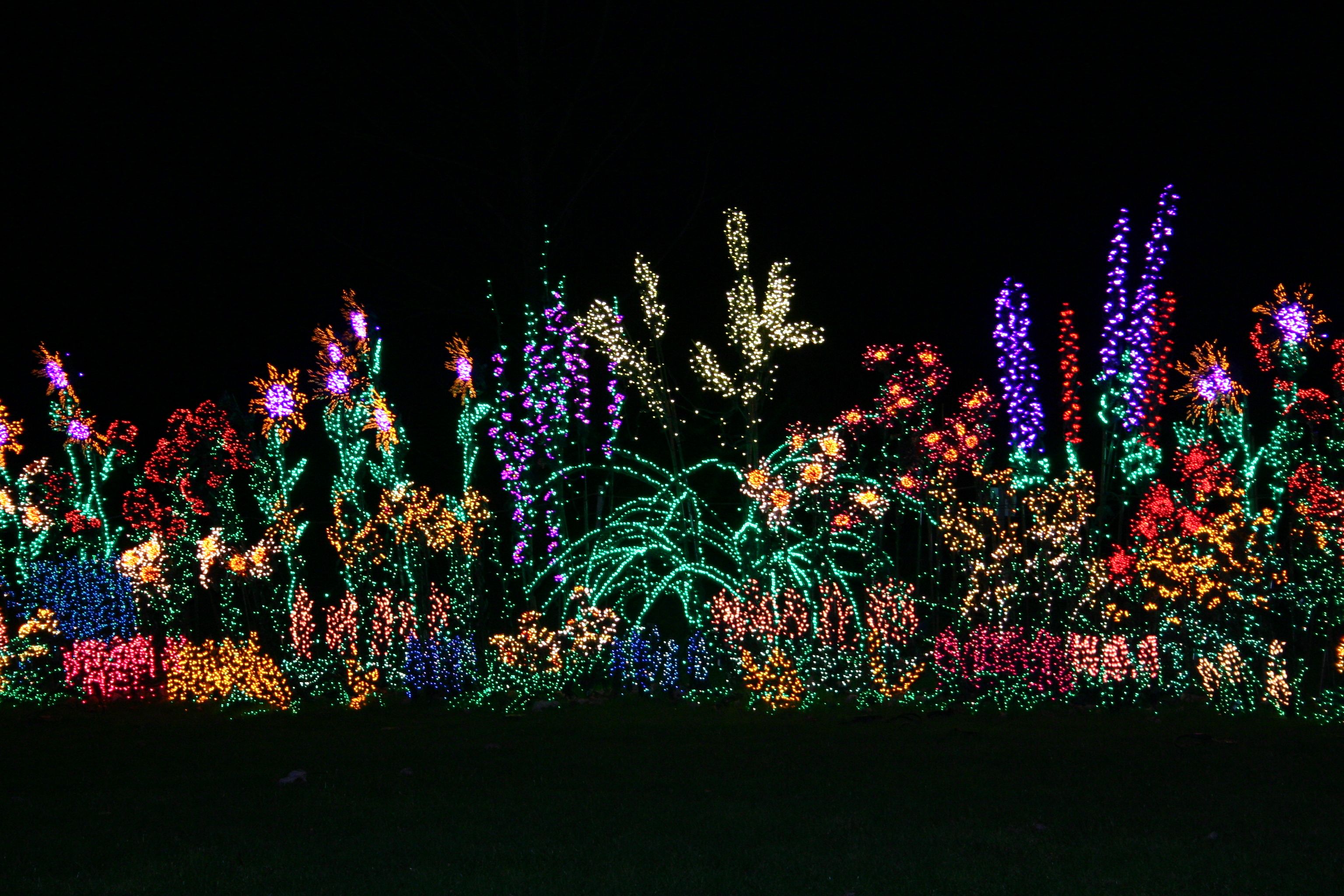 Walking Trails Tours In Bellevue