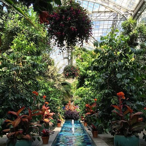 Fabulous Fall Plants