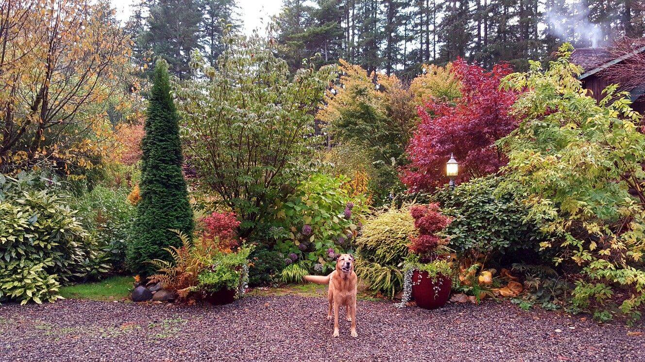 Fabulous Fall Plants