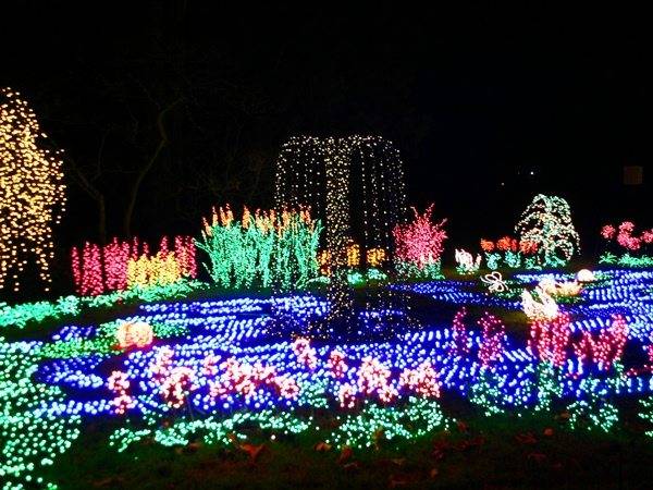 Bellevue Botanical Gardens Christmas Lights Home Garden