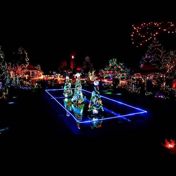 Bellevue Botanical Gardens Christmas Lights Home Garden