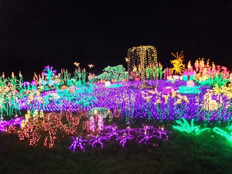 Botanic Gardens Denver Co Christmas Lights