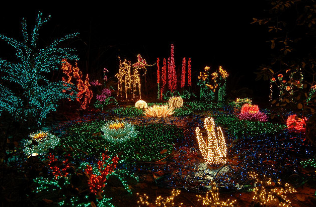 Botanical Gardens Charlotte Nc Christmas Lights