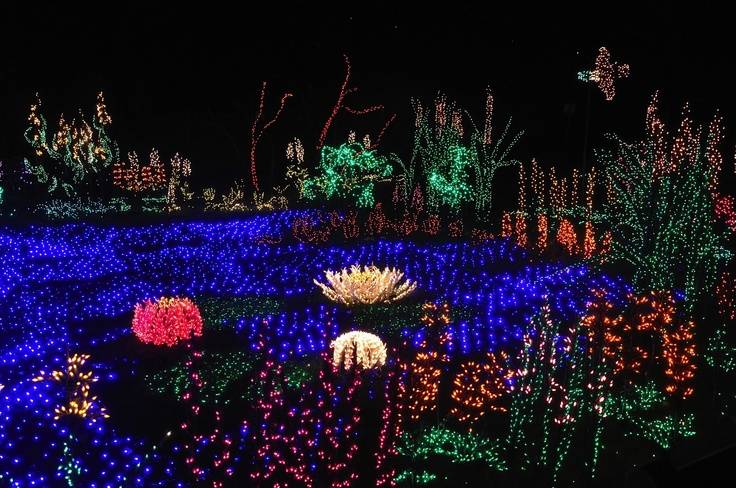Denver Botanic Gardens Tickets Lights