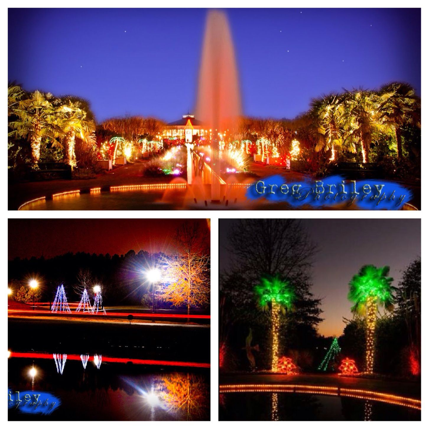 Atlanta Botanical Gardens