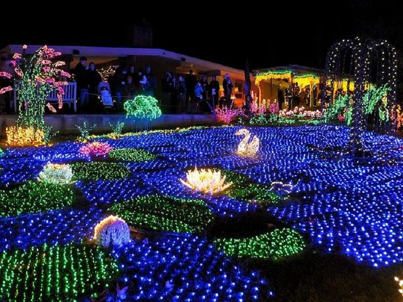 The Bellevue Botanical Gardens