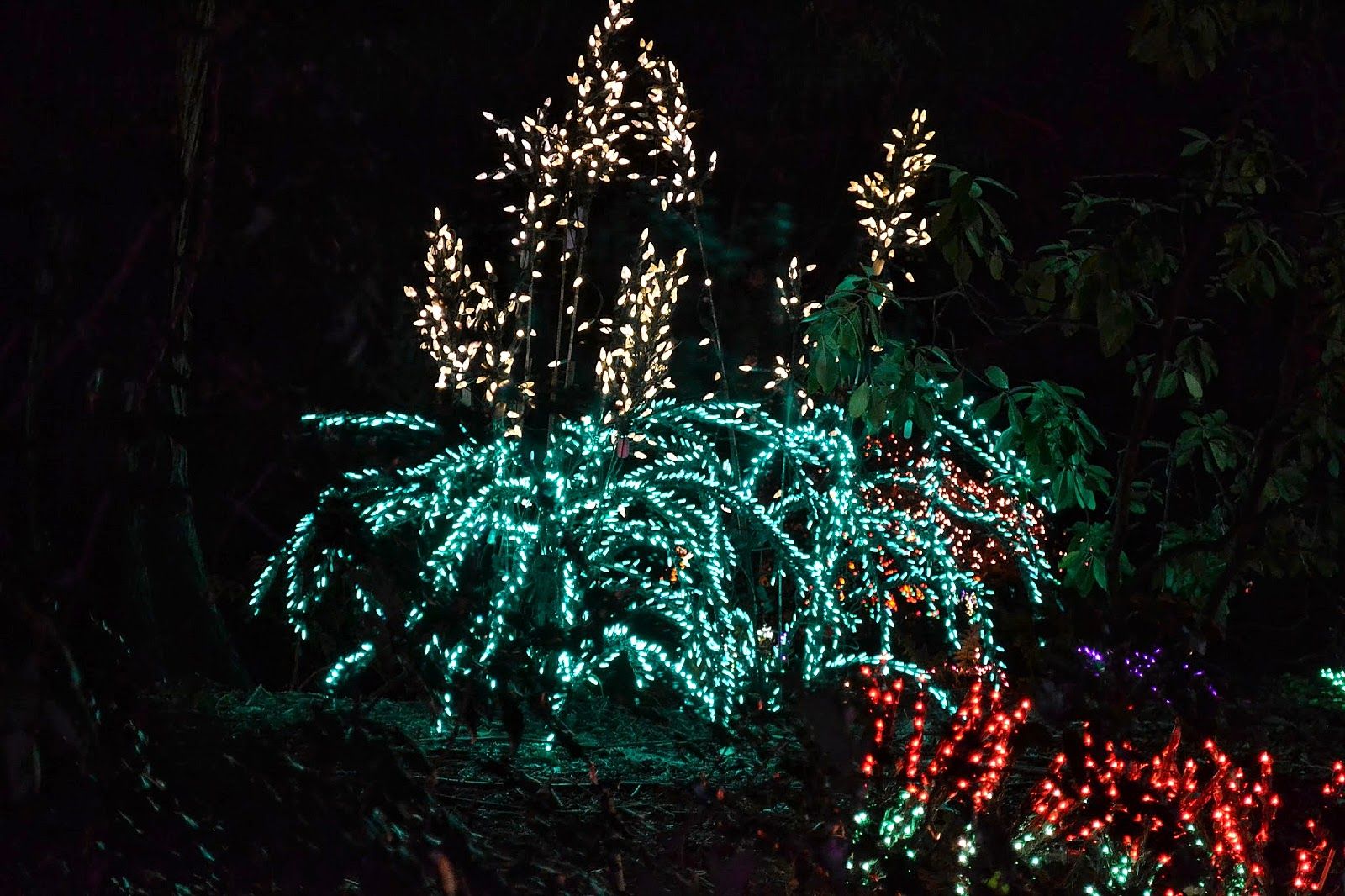 Daniel Stowe Botanical Garden