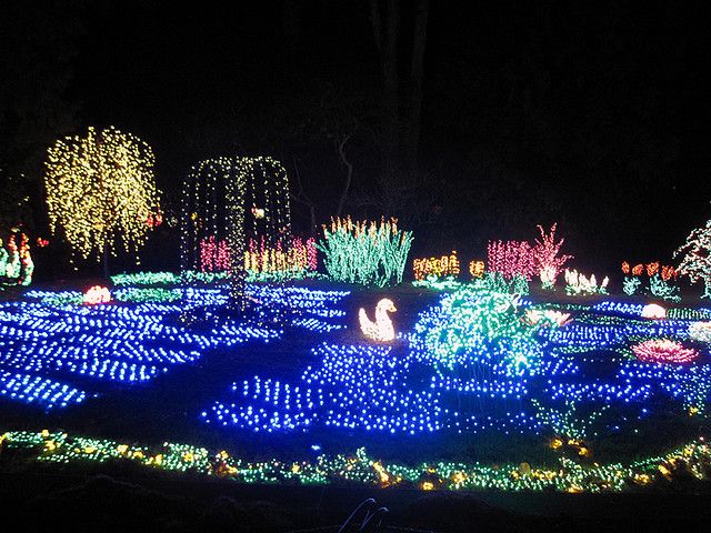 The Mesmerizing Christmas Display