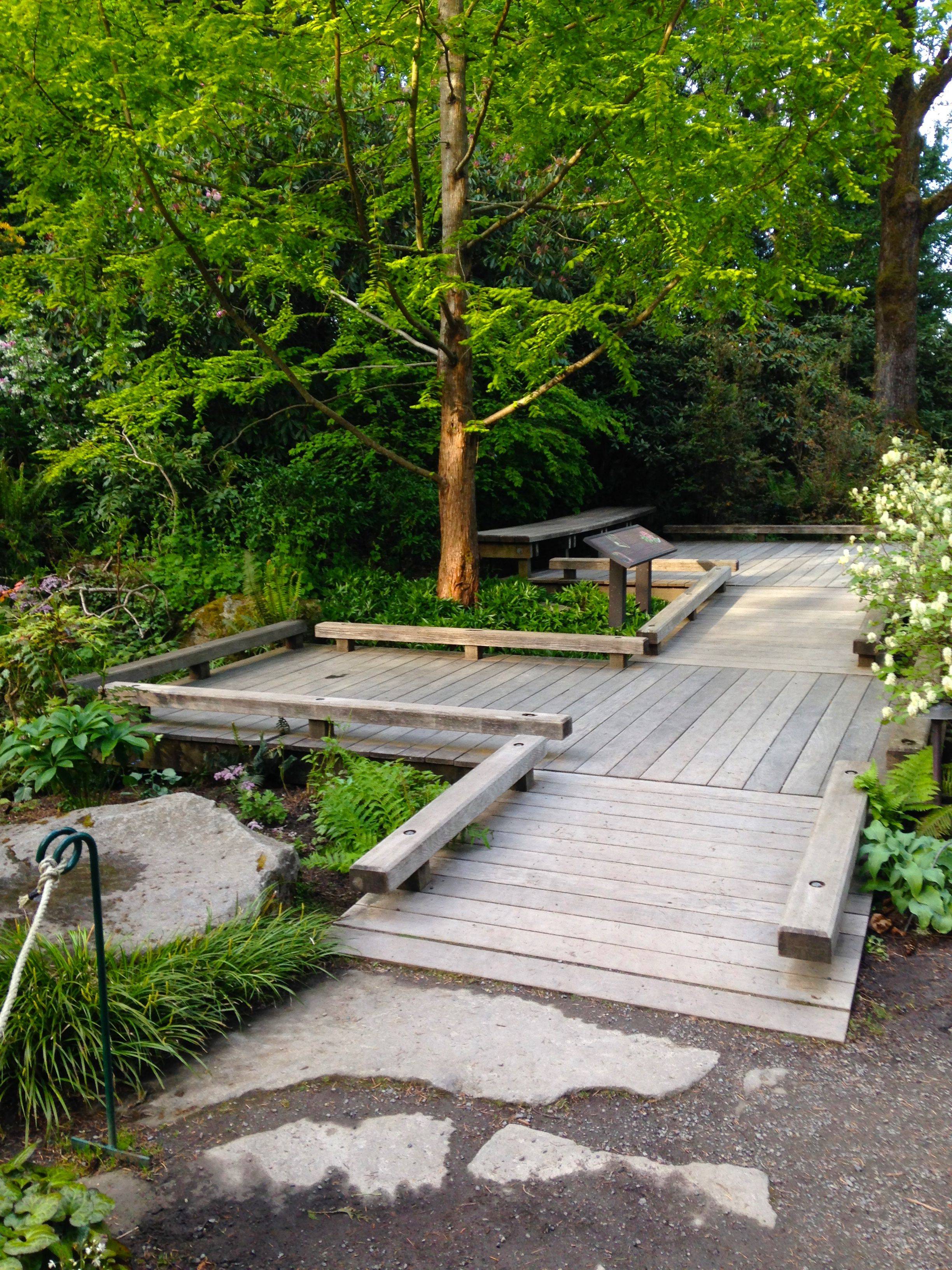 Bellevue Contemporary Transitional Landscape Seattle