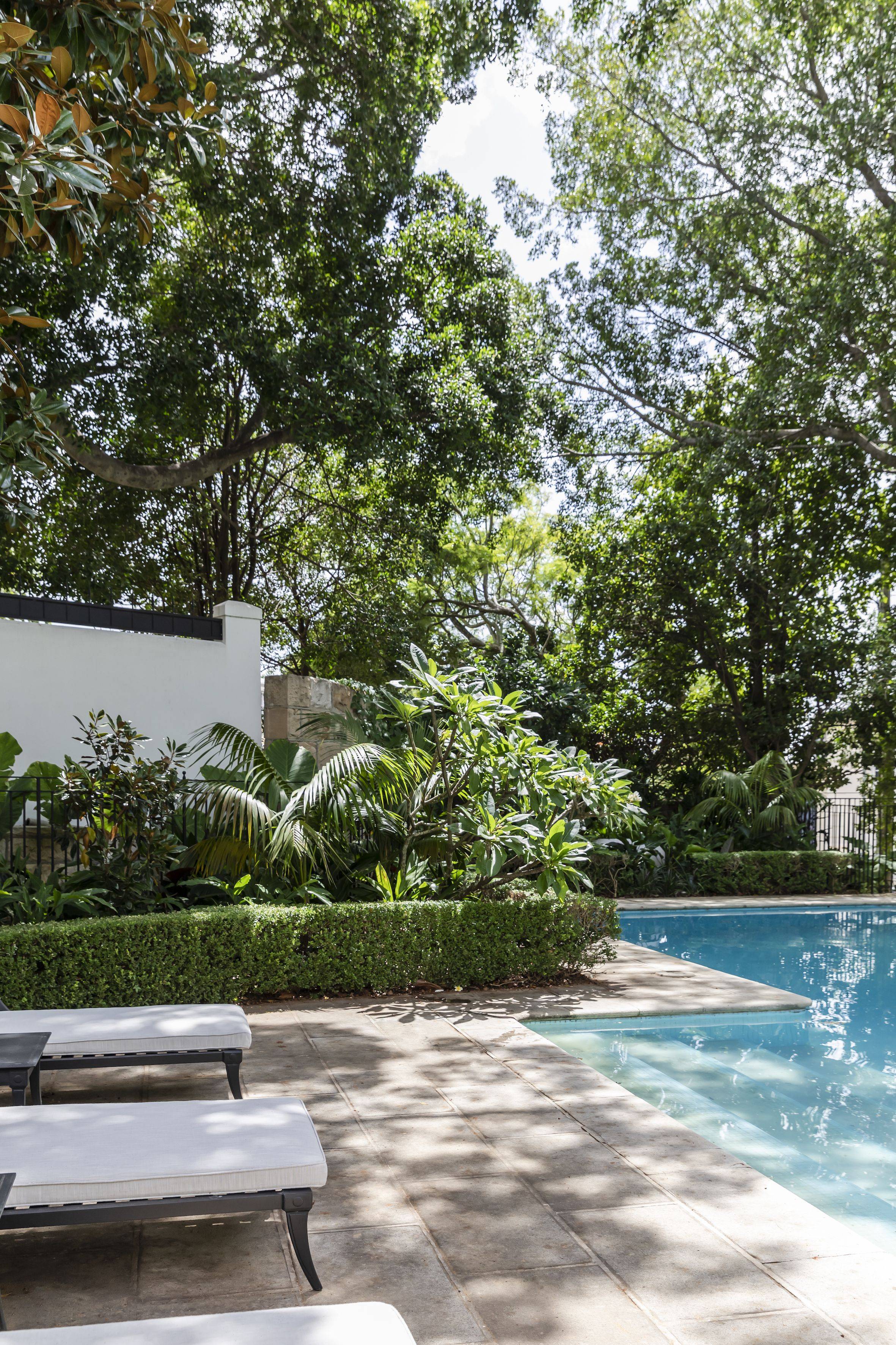 Bellevue Hill Landscape Design