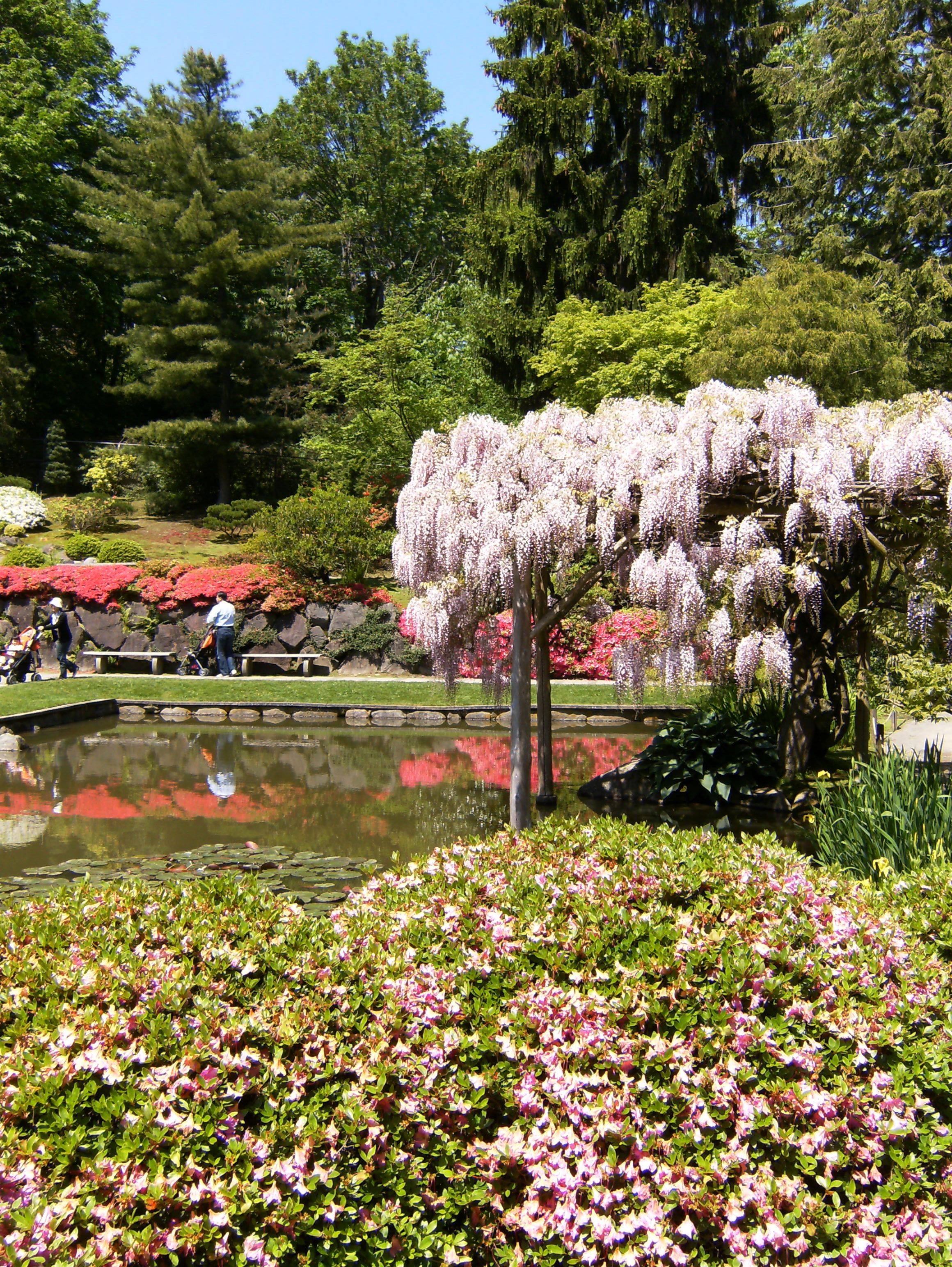 Elisabeth C Miller Botanical Garden