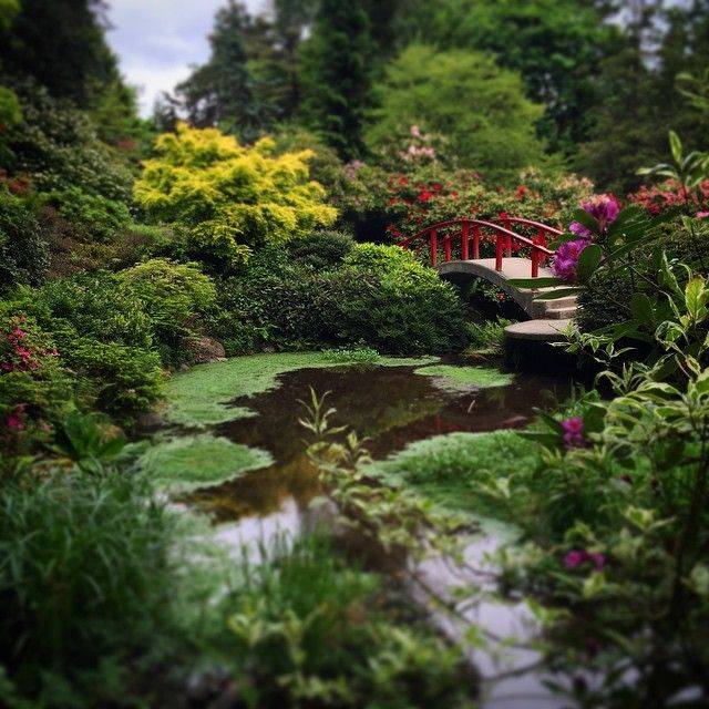 These Botanical Gardens