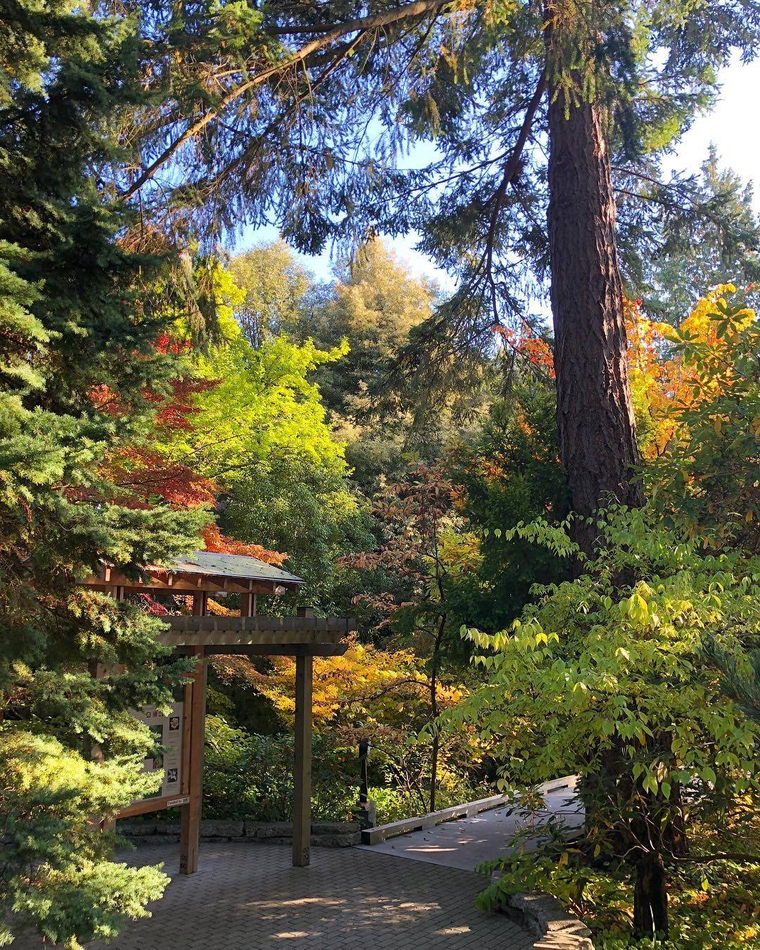 The Bellevue Botanical Garden Seattle Area Family
