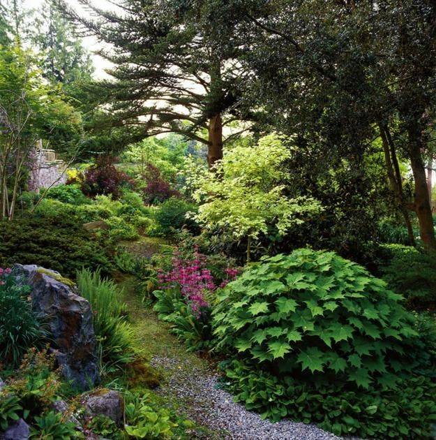 Recycled Botanical Garden