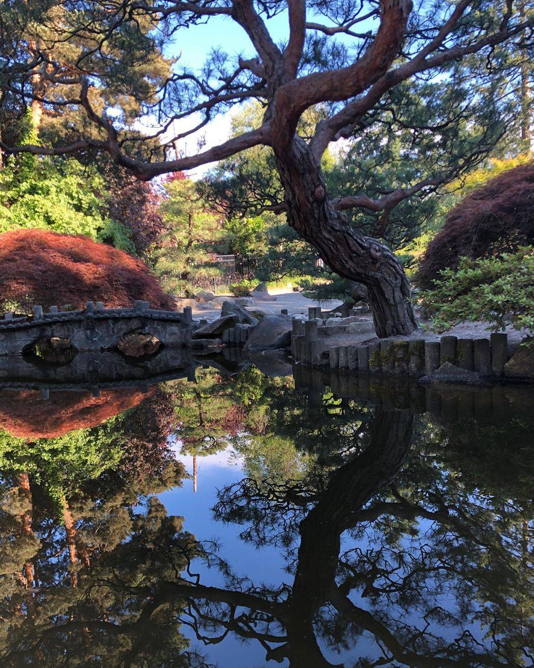 Bellevue Botanical Garden