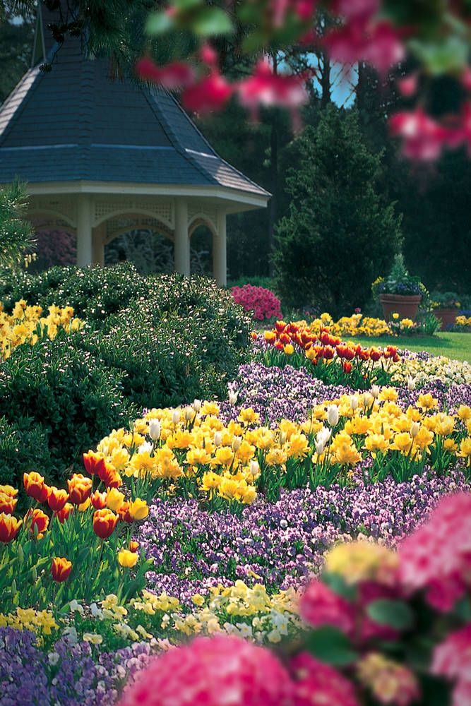 Myriad Botanical Gardens
