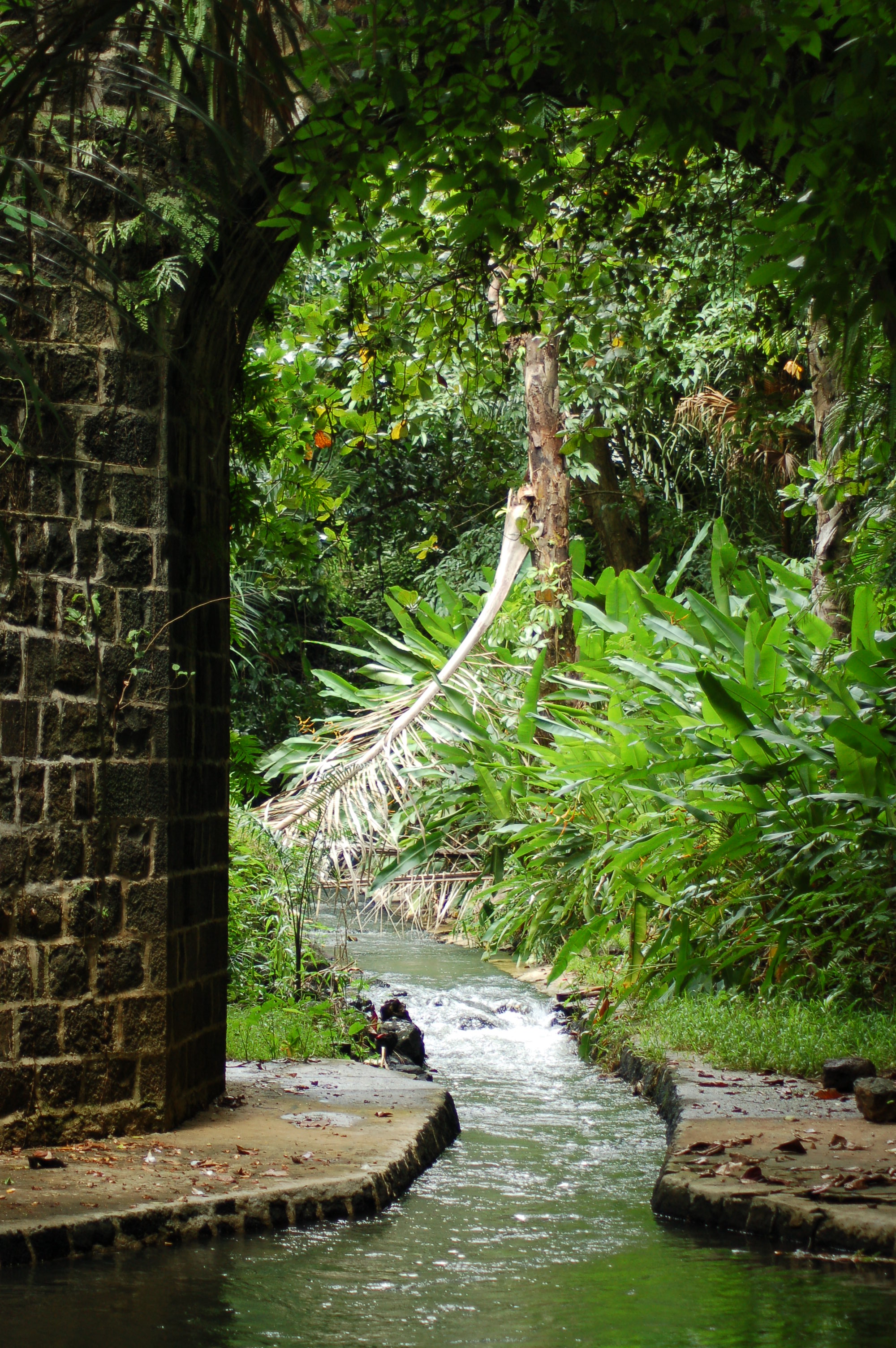 Peradeniya Botanical Gardens Peradeniya Garden