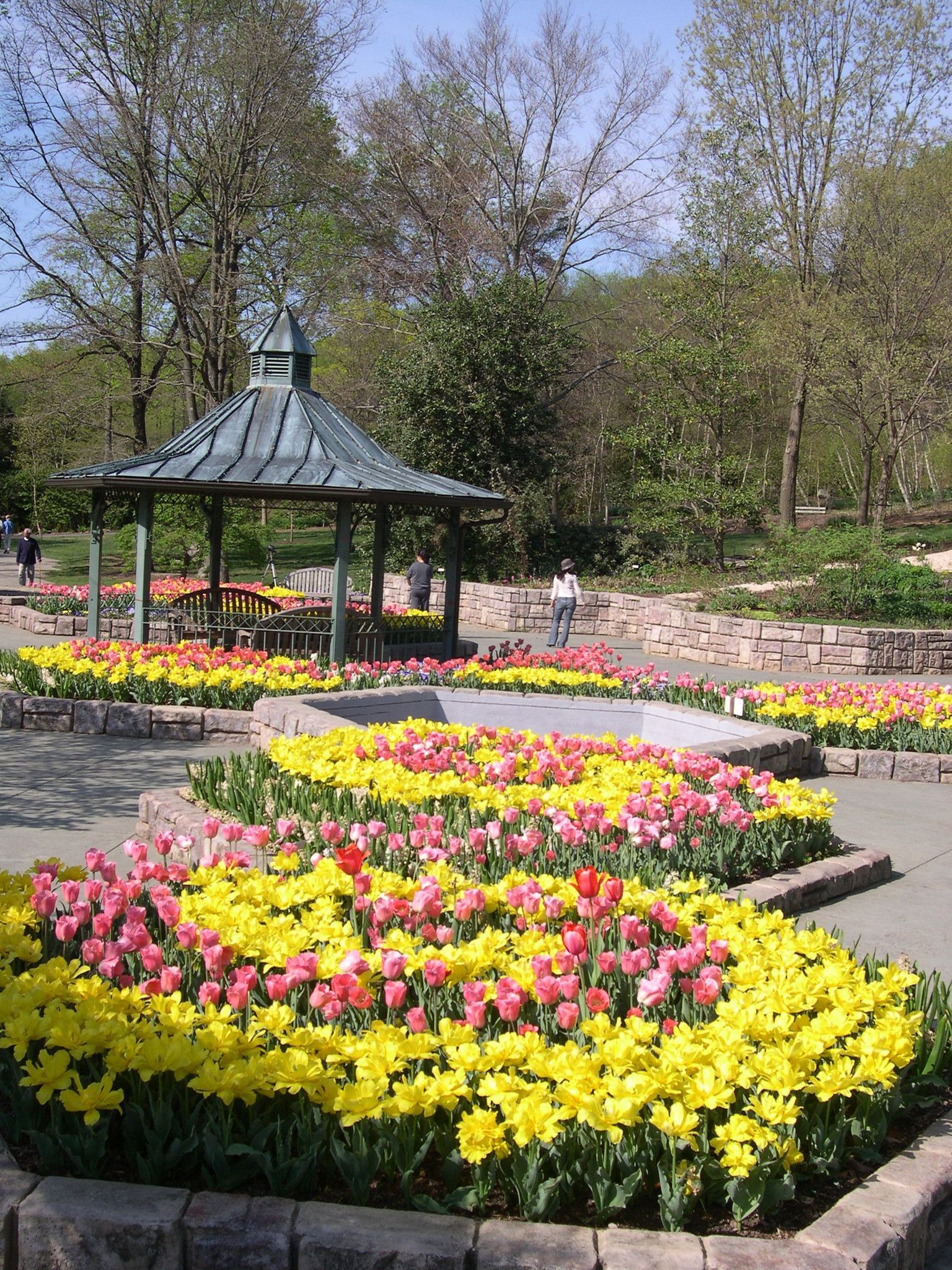 Wellfield Botanic Gardens