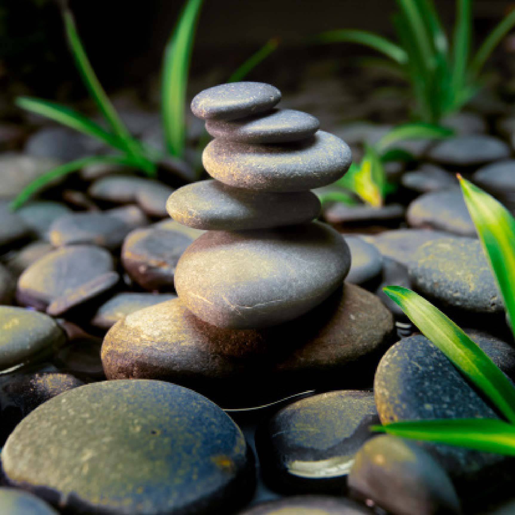 Best River Rock And Stone Garden Decorating Ideas
