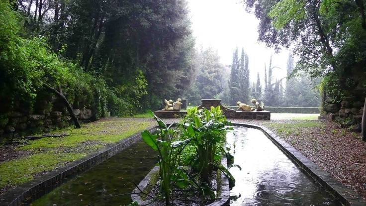 Pinterest Gardens