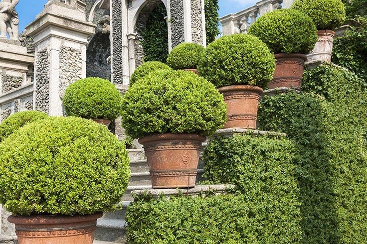 Gardening Designs