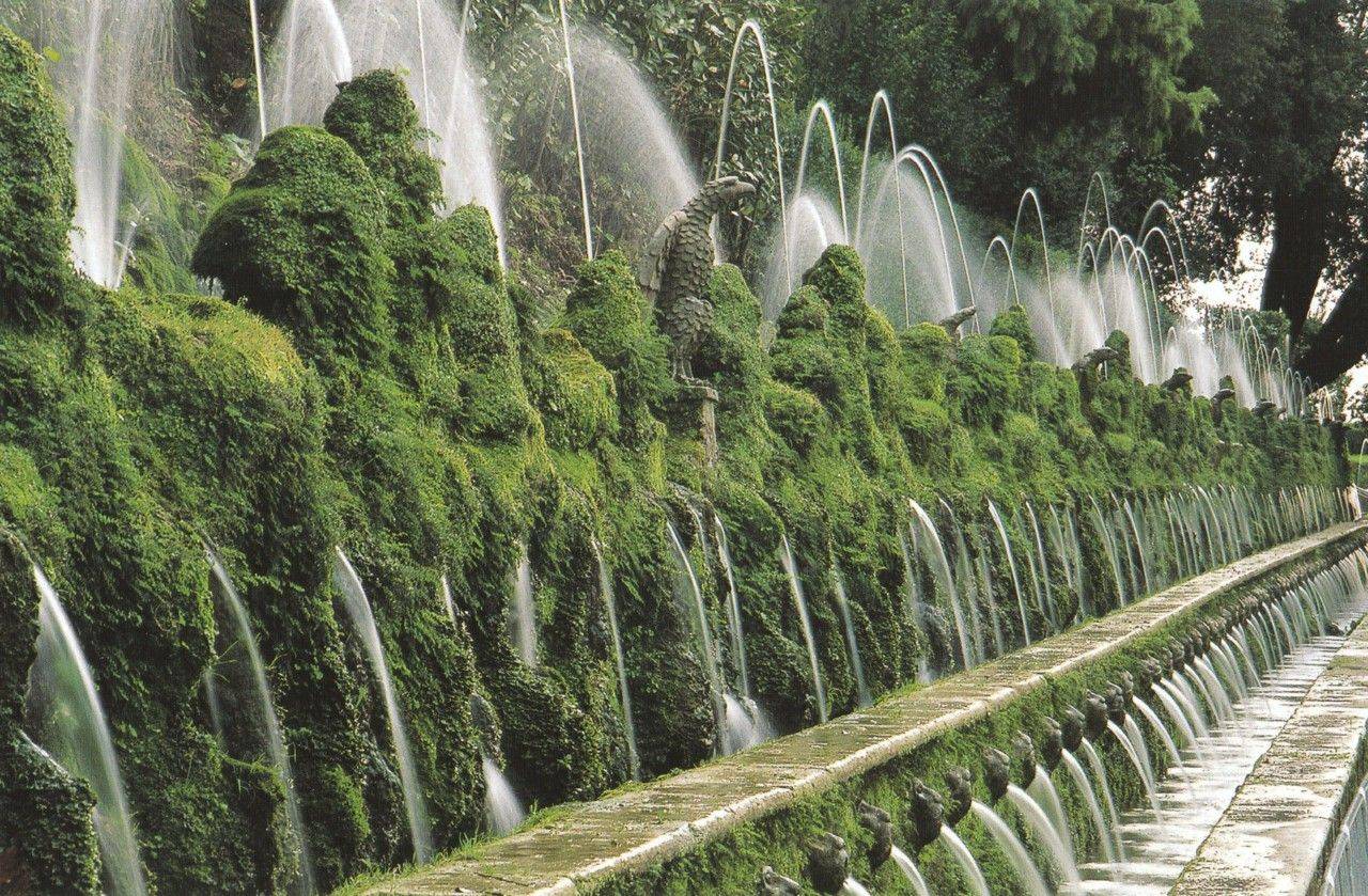 Drought Tolerant Landscape