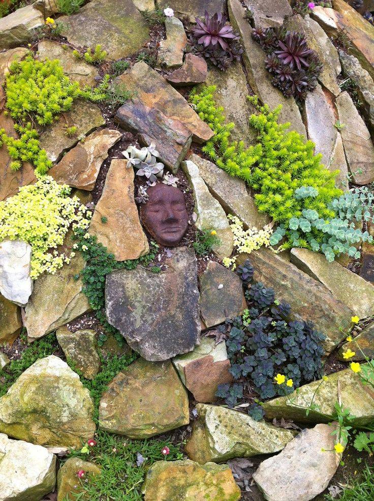 Sedum Garden