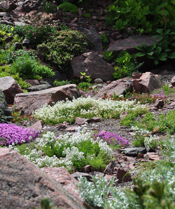 Rock Garden