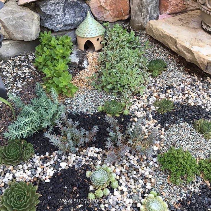 Best Rock Gardens Ground Covers Images