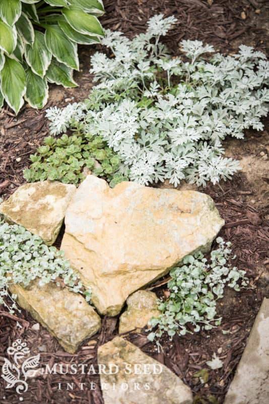 Dry Creek Bed Landscaping Ideas