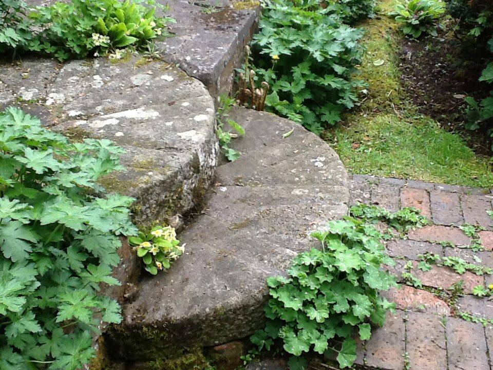 Beautiful Diy Stepping Stone Ideas