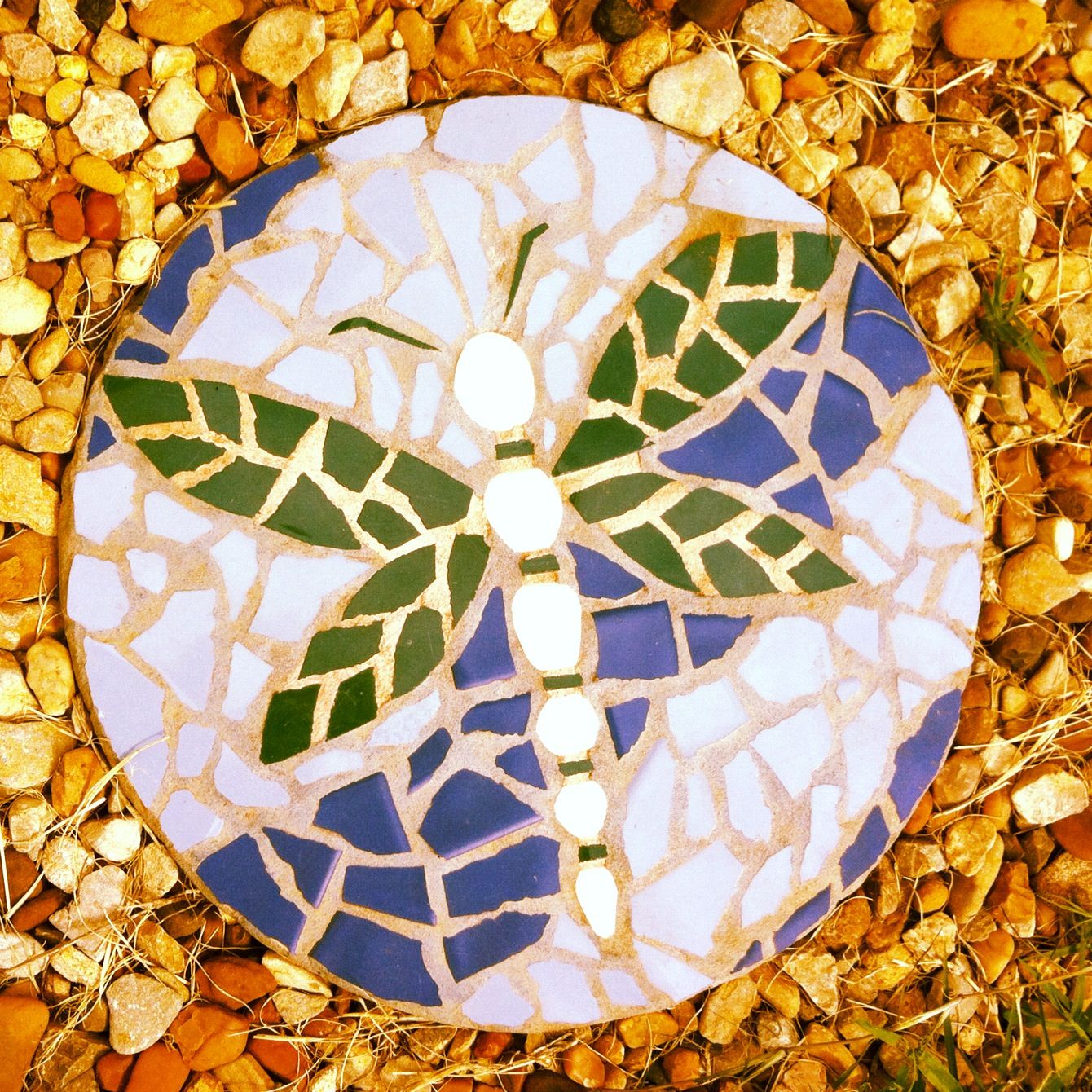 Dragonfly Stepping Stone