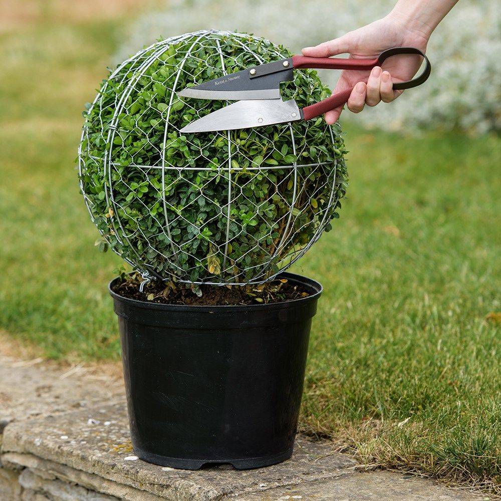A Contemporary Garden Gazing Ball
