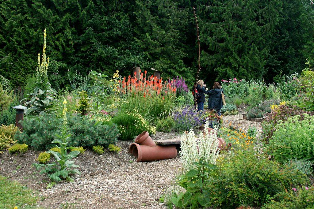 Giant Metal Dragonfly Garden Sculpture Ft Rusty Metal Dragonfly