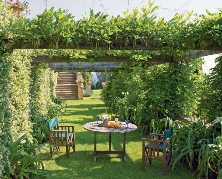 Awesome Backyard Pergola Plan Ideas Small Courtyard Gardens