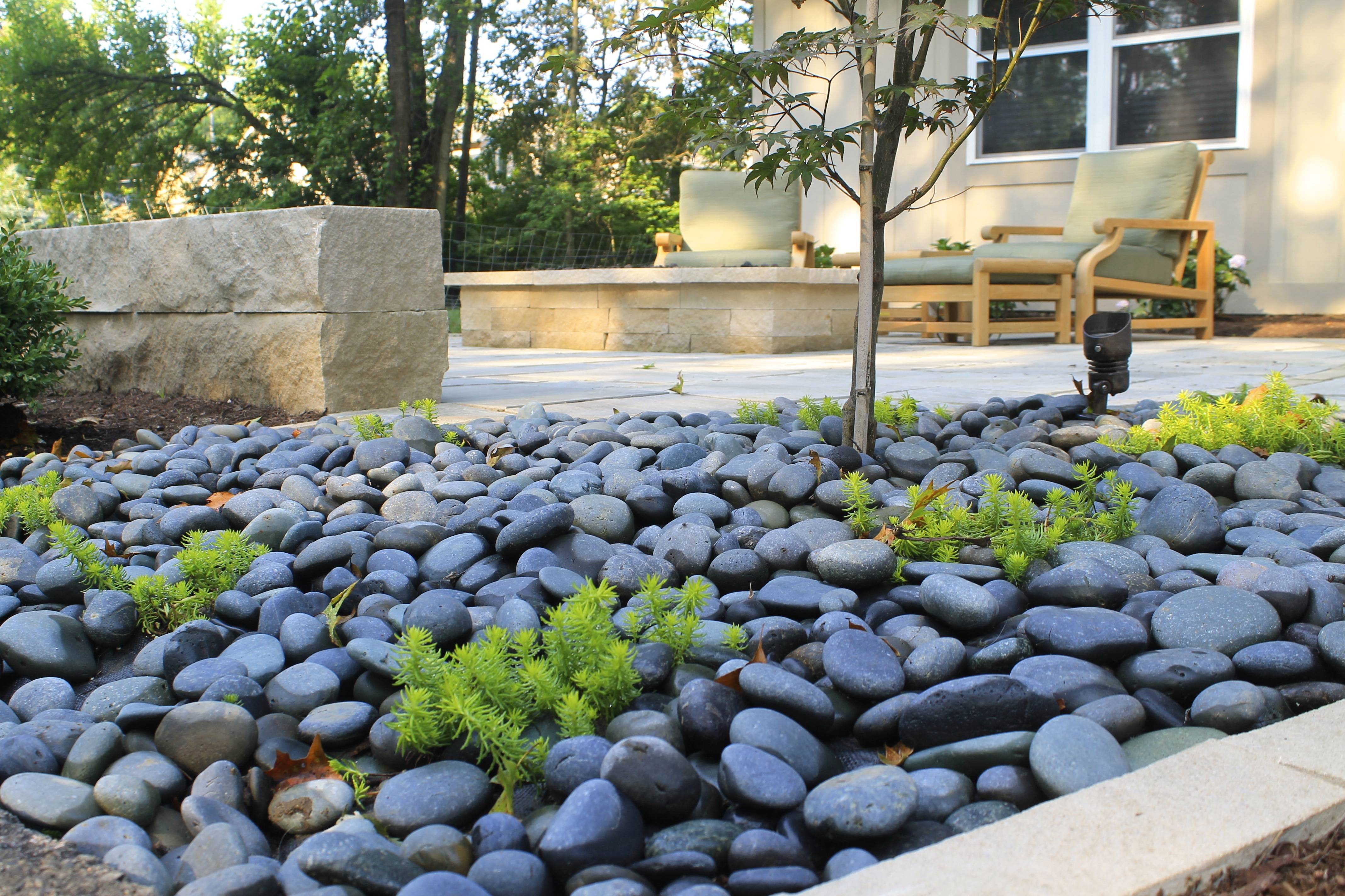 Best Simple Rock Walkway Ideas