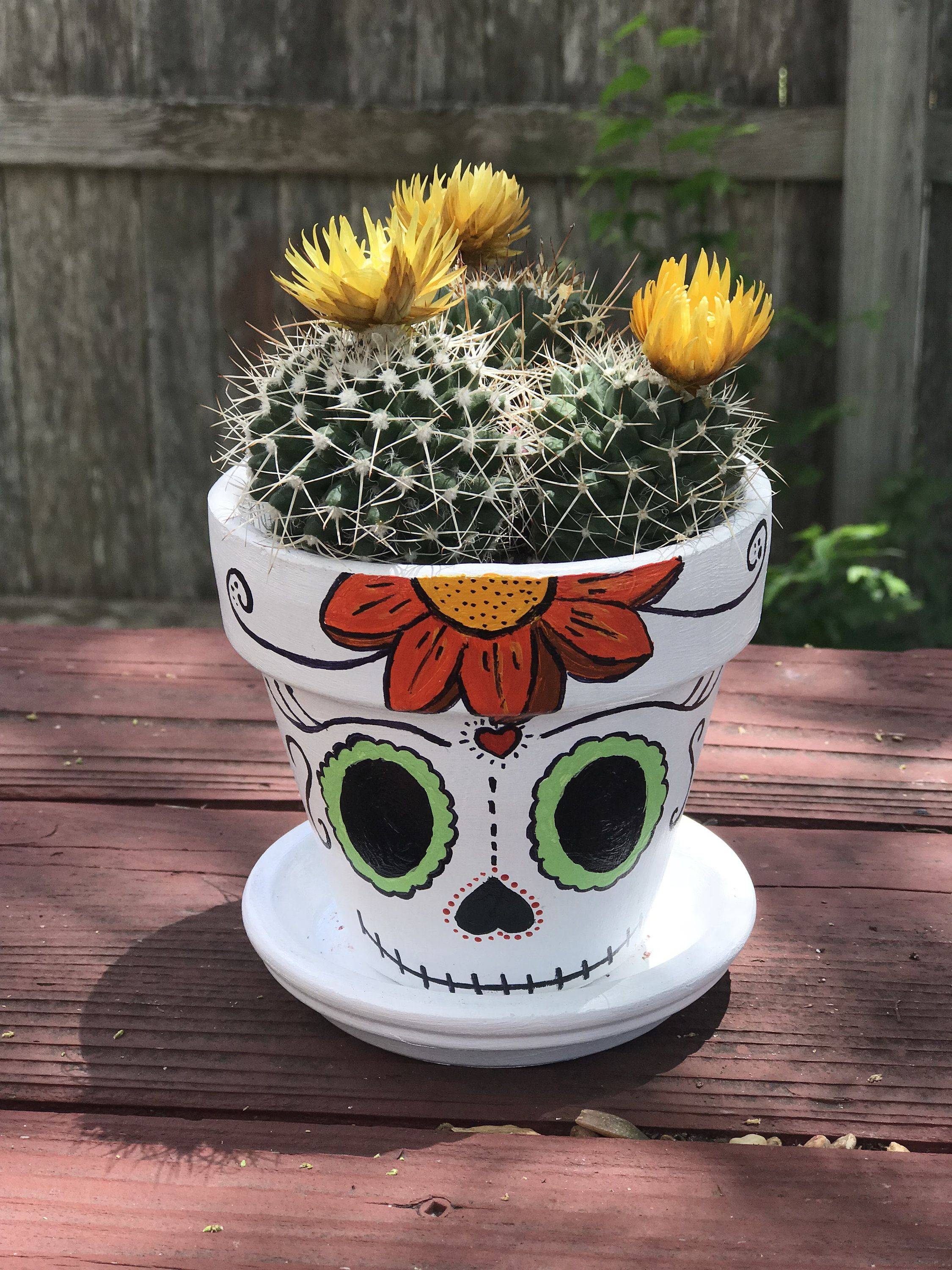 Italian Whitewashed Buildings